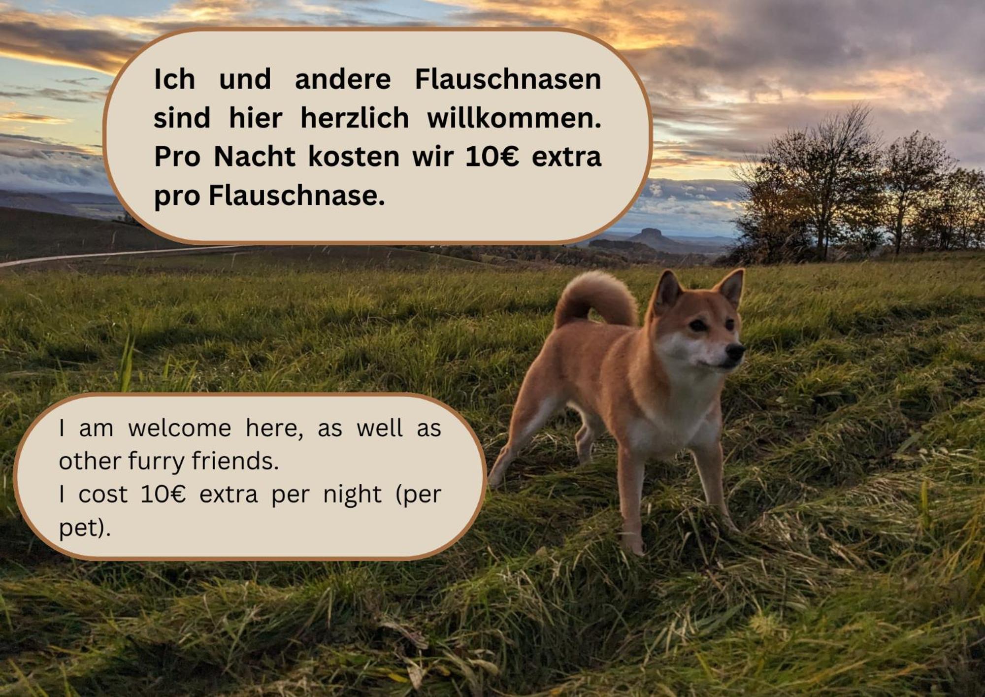 W2 - Urlaubsmagie - Im Herzen Des Elbsandsteingebirges Sebnitz Exterior foto